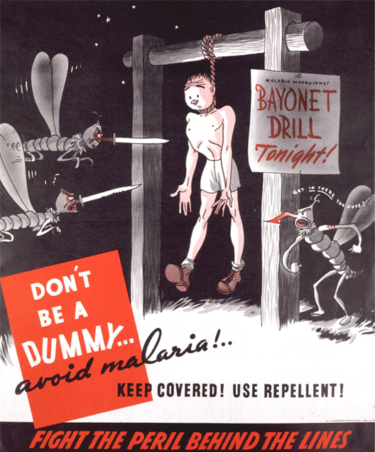 Beware of the Mosquitoes Infographic